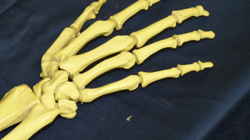 Reumatologia w Krakowie – nowoczesne terapie i indywidualne podejście