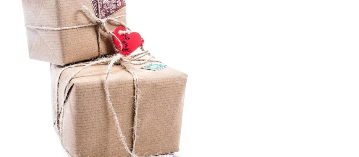 WMS Avocado Packing — optymalizacja pakowania i magazynu